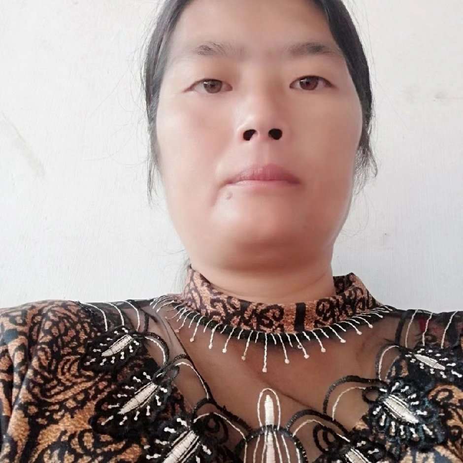 从新开始的照片