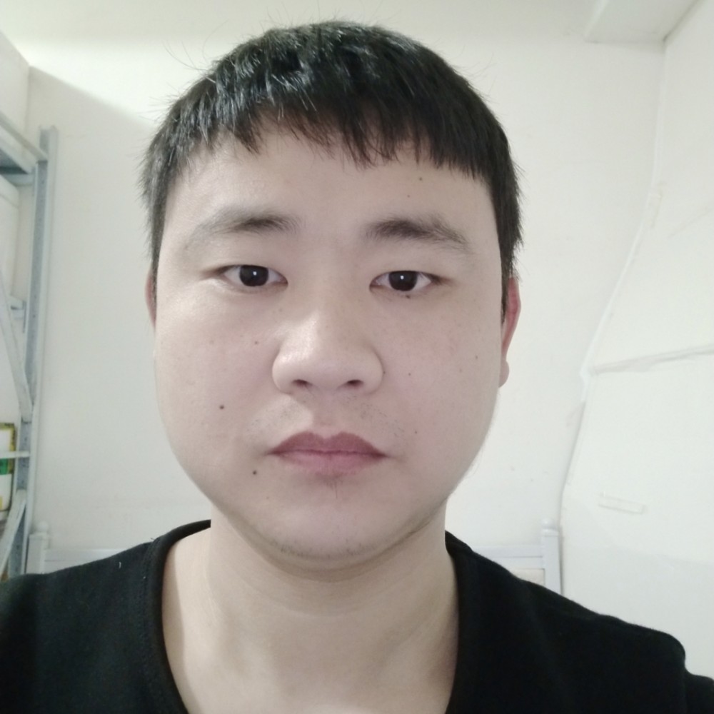 听话等待小海豚的照片