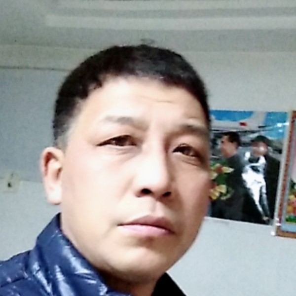 淡定和数据线的照片
