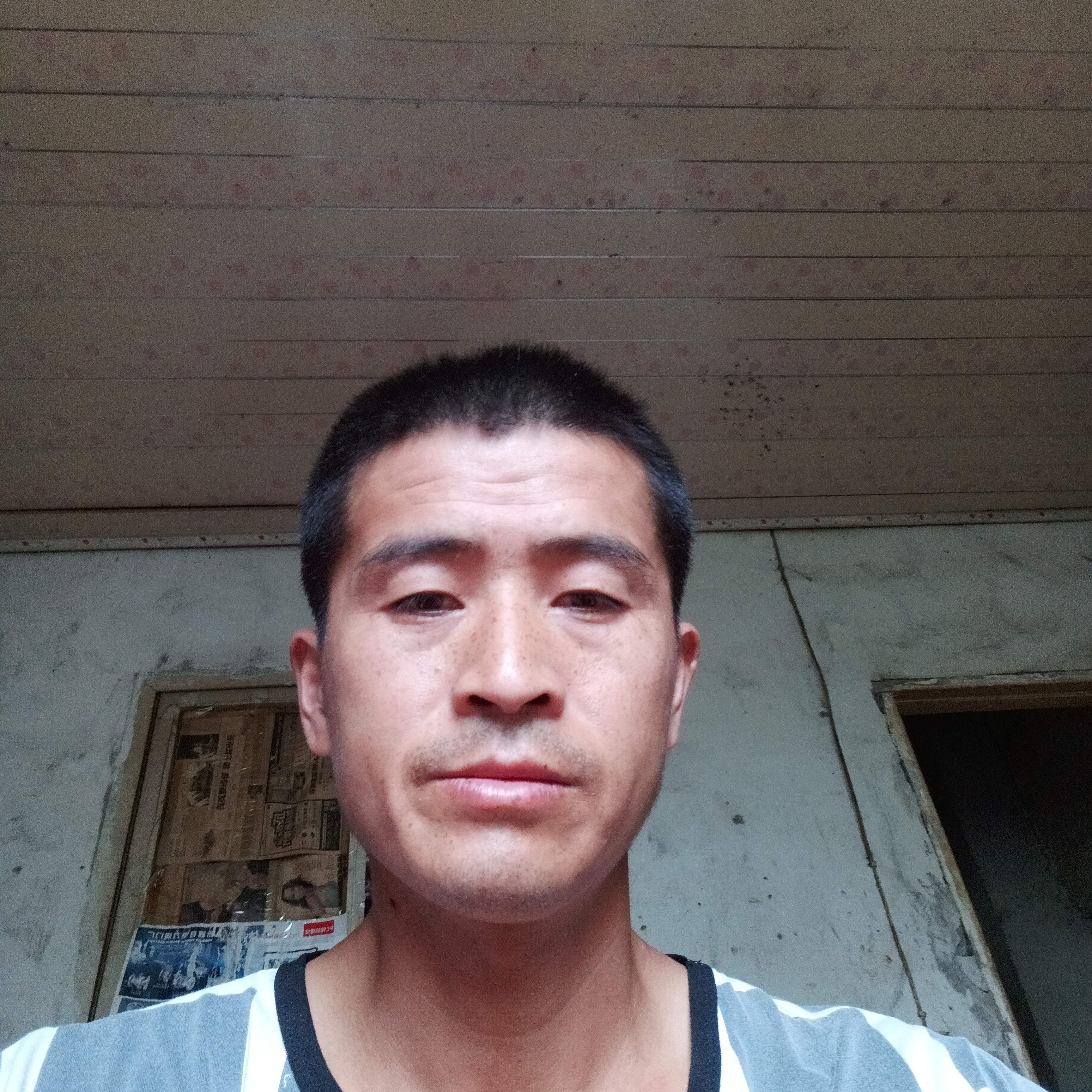 狂野漫步仙人掌的照片