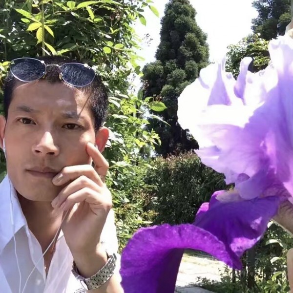 淡漠的清风的照片