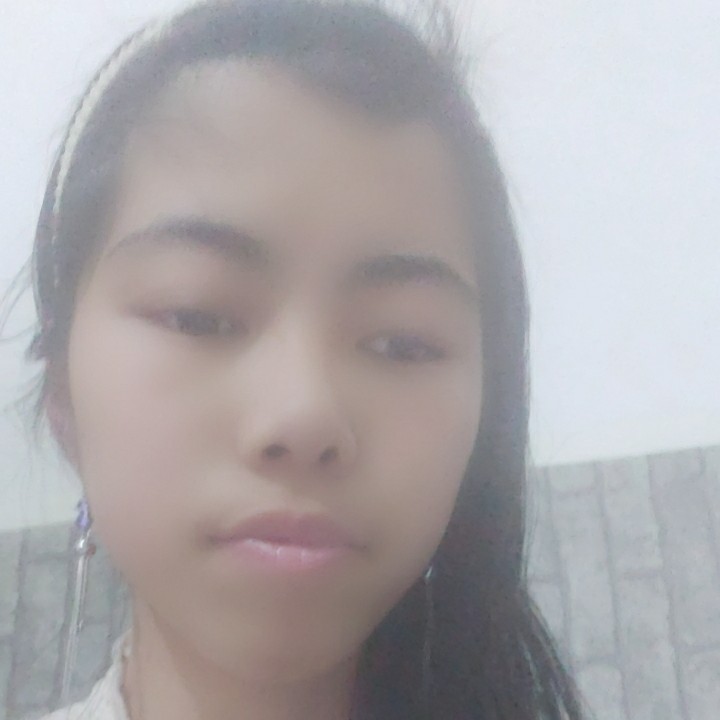沉静深拥黄蜂的照片