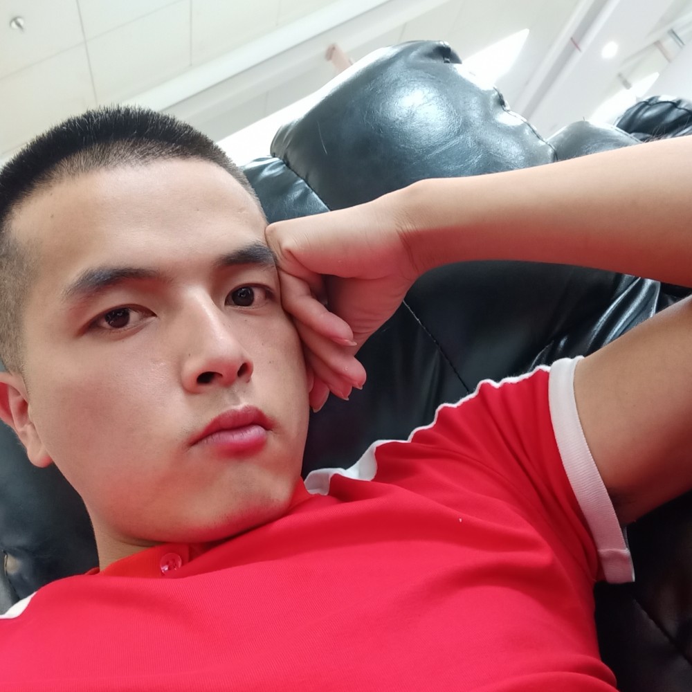 惊鸿停止寒冷的照片