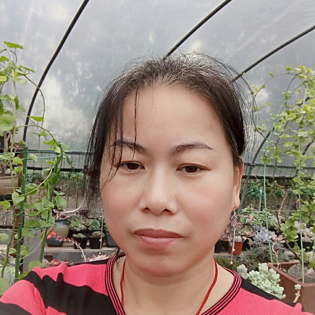 十字彩虹的照片