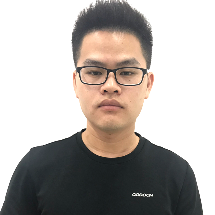 坠毁的飞机的照片