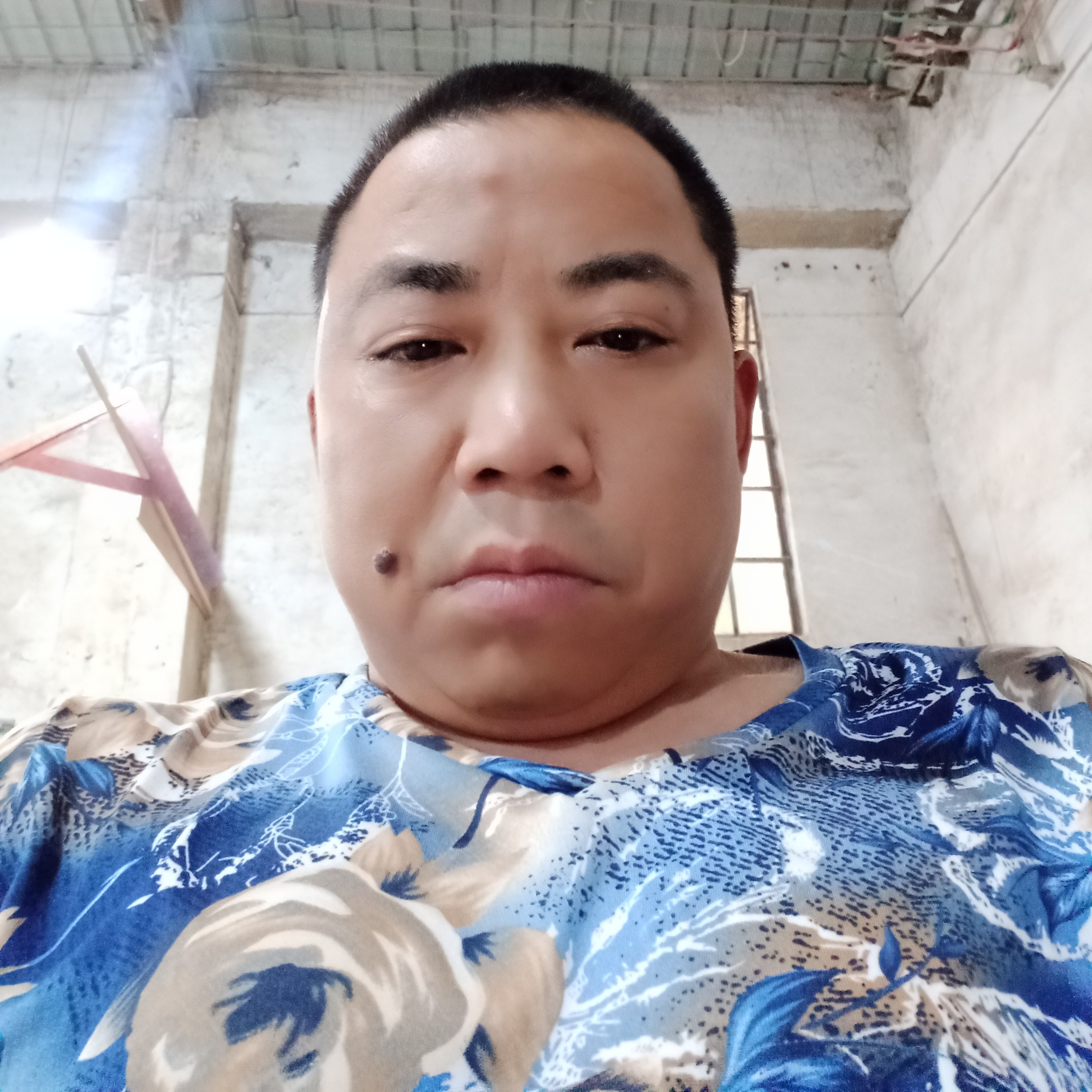 孤单的郎的照片