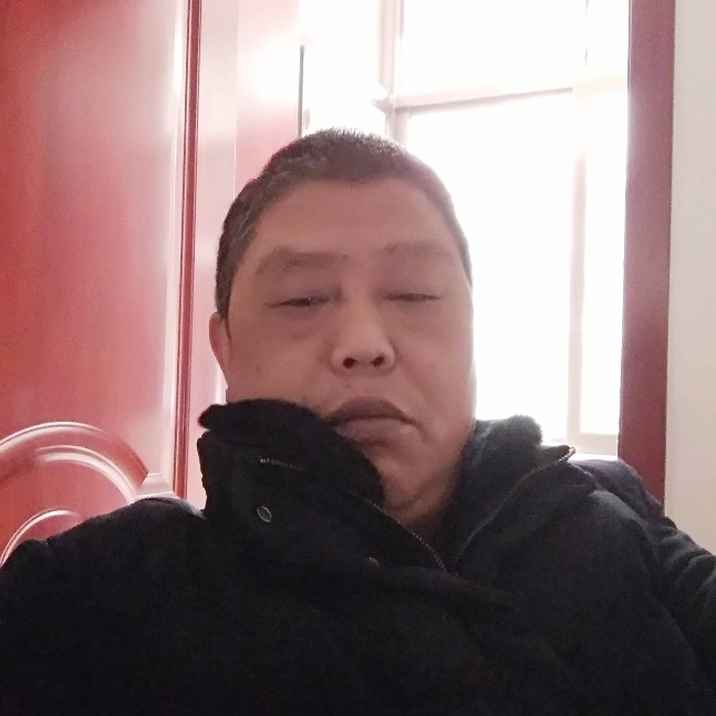 海燕打风趣的照片