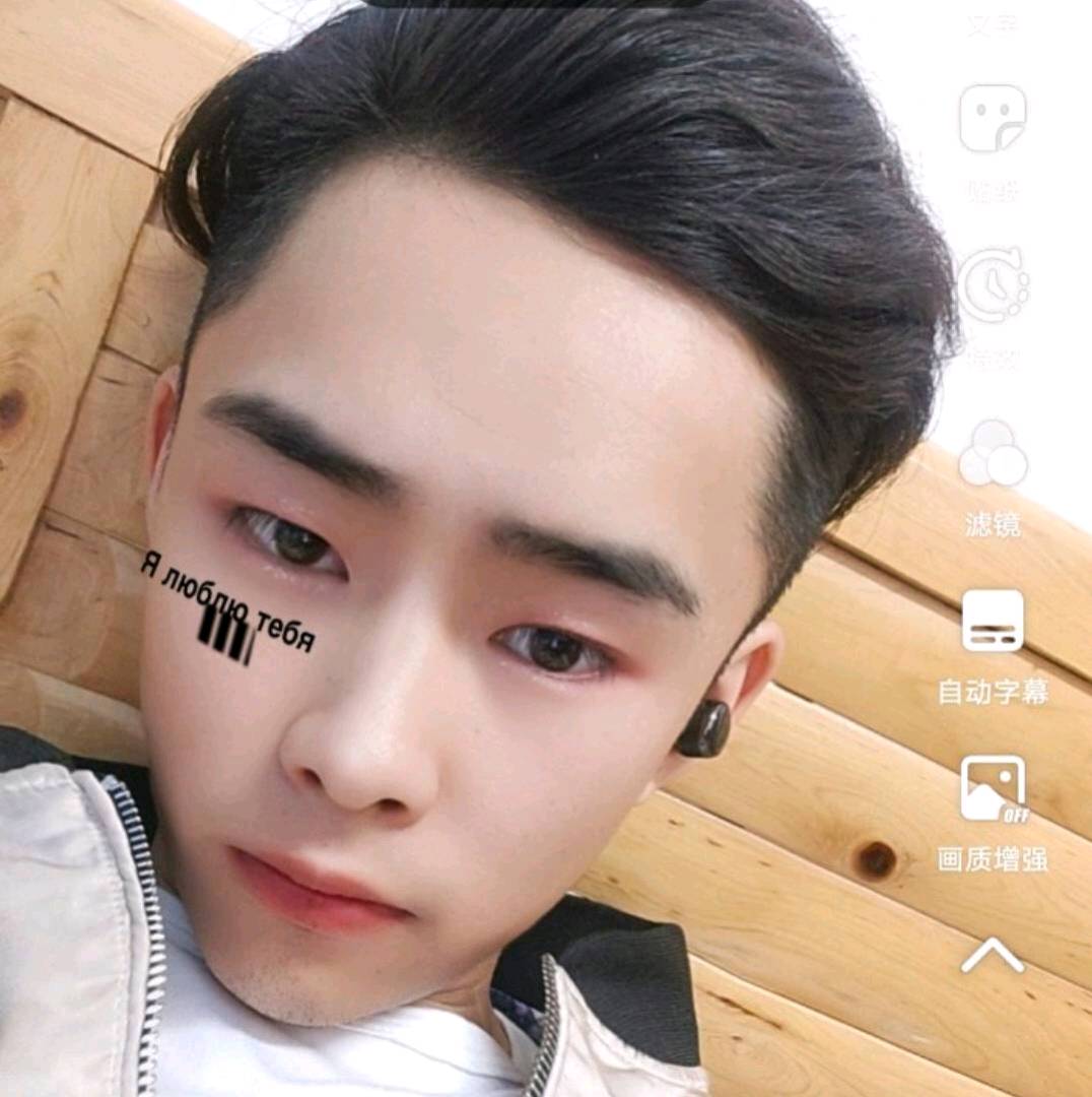 缓慢演变斑马的照片