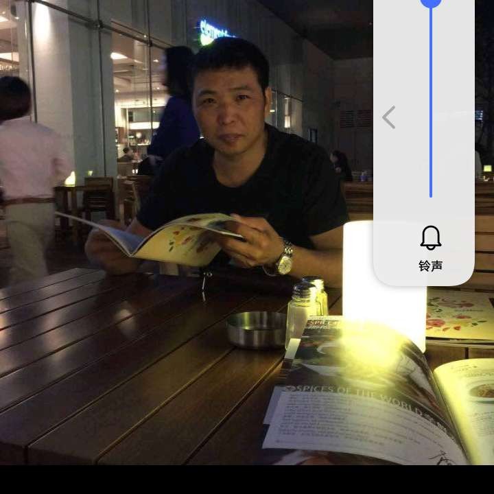 典雅的西牛的照片