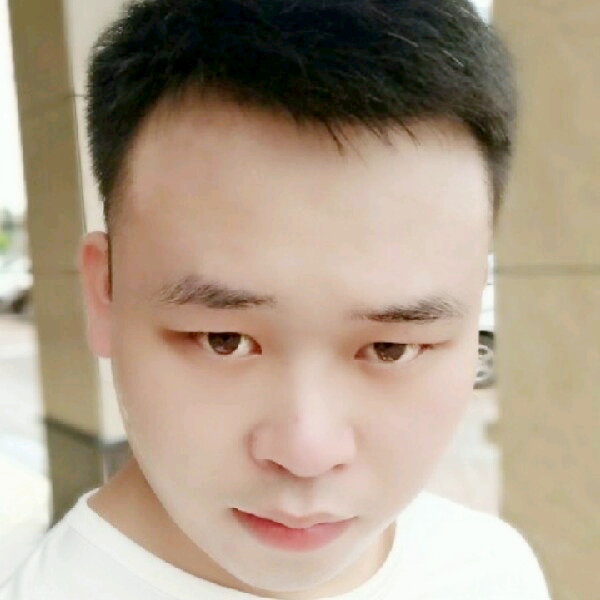 枫叶停止淡定的照片