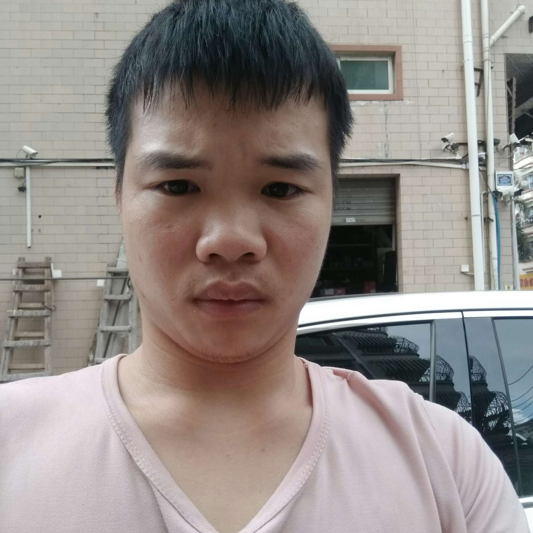 现代迎小白菜的照片