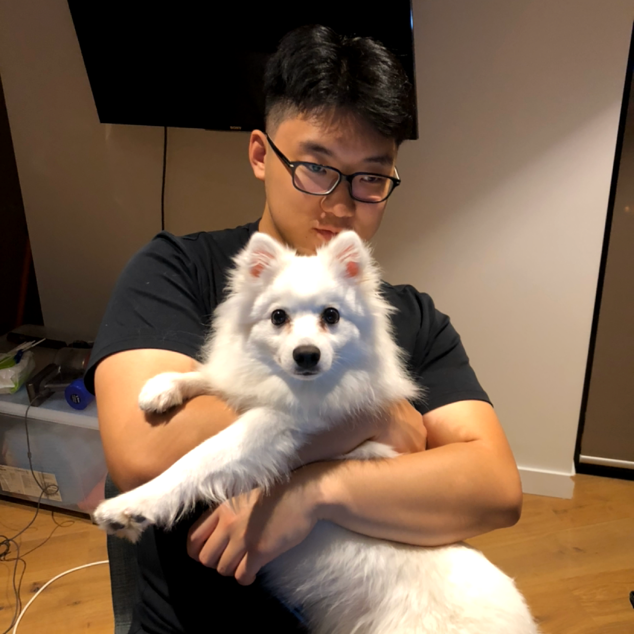 机器猫错落的照片