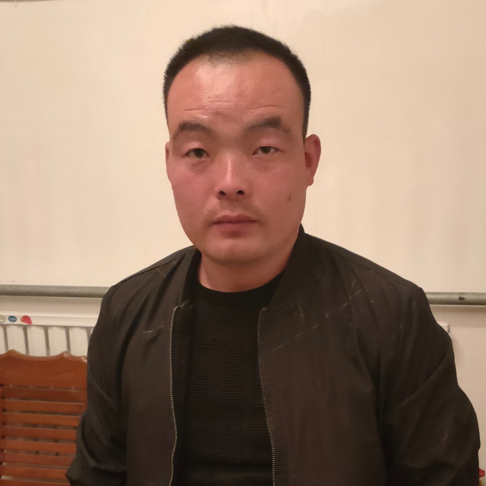 暖阳复杂的照片