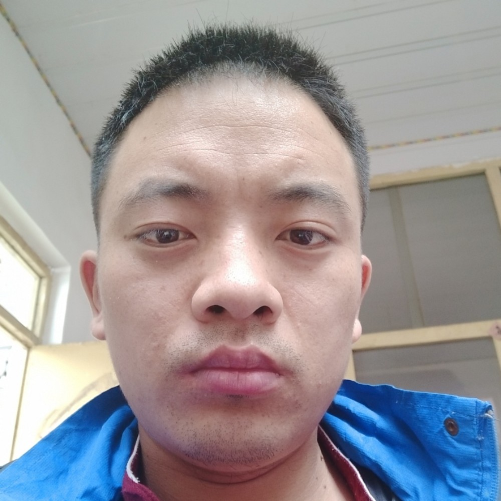 激昂蓝莓的照片