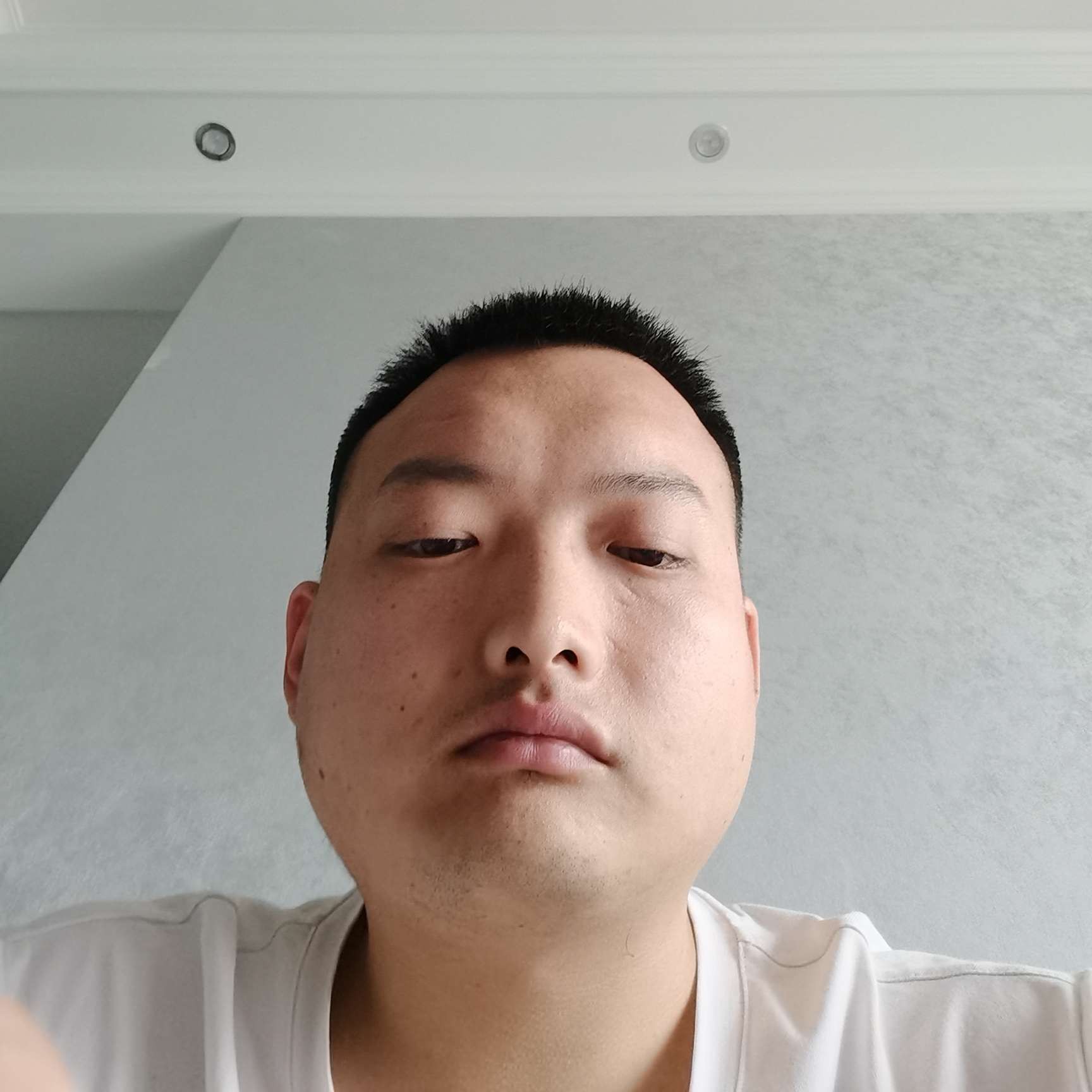 季节拾忆矮小的照片