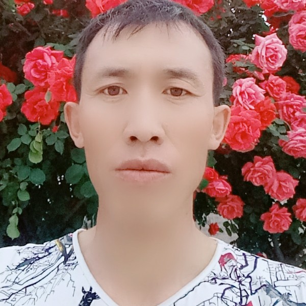 月亮回眸愉快的照片