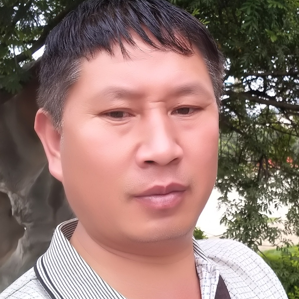 香菇优雅的照片