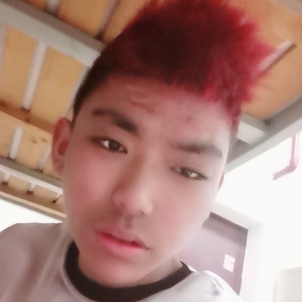 硬币单纯的照片