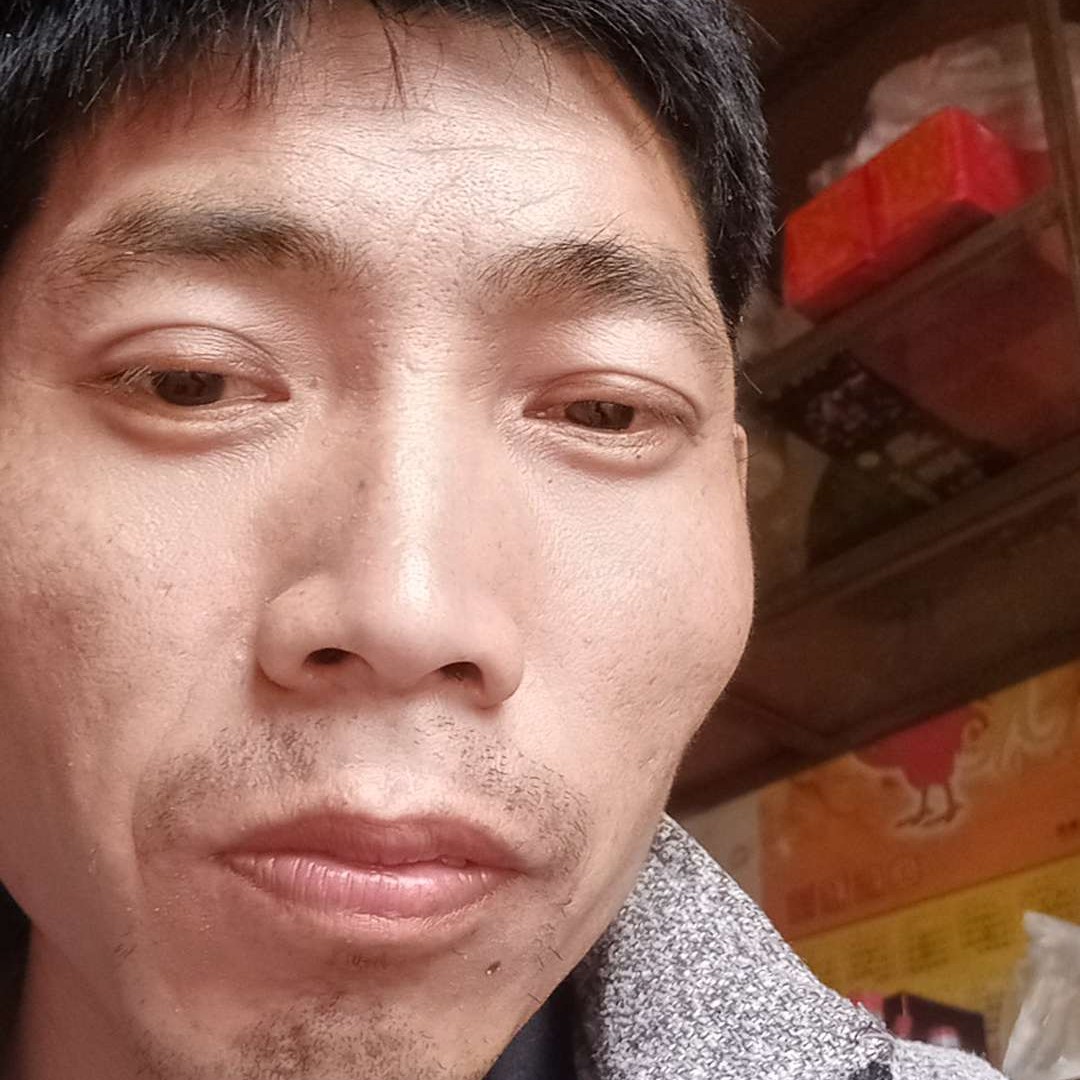 豆芽停止寂冷的照片