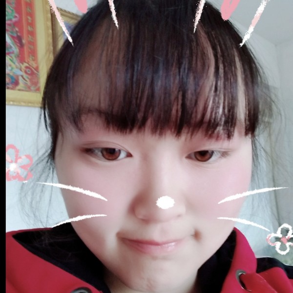 大象谨慎的照片