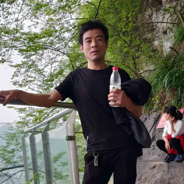 猎豹壮观的照片