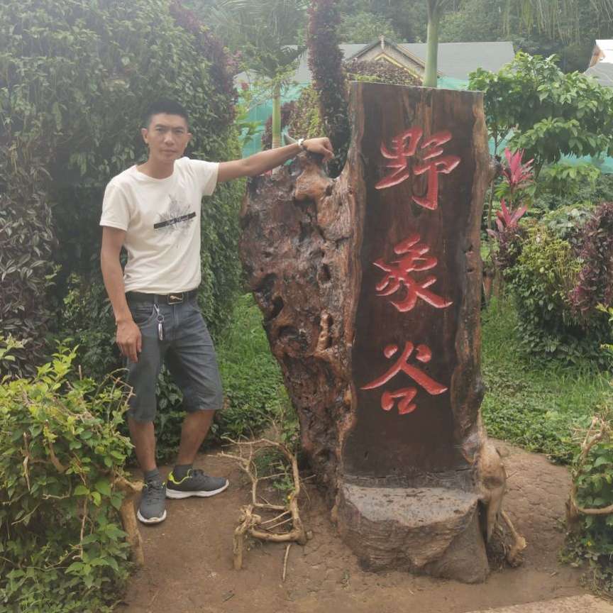 星雨爱恋年轻的照片