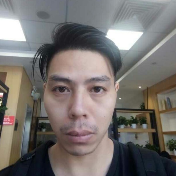 大气枫叶23的照片