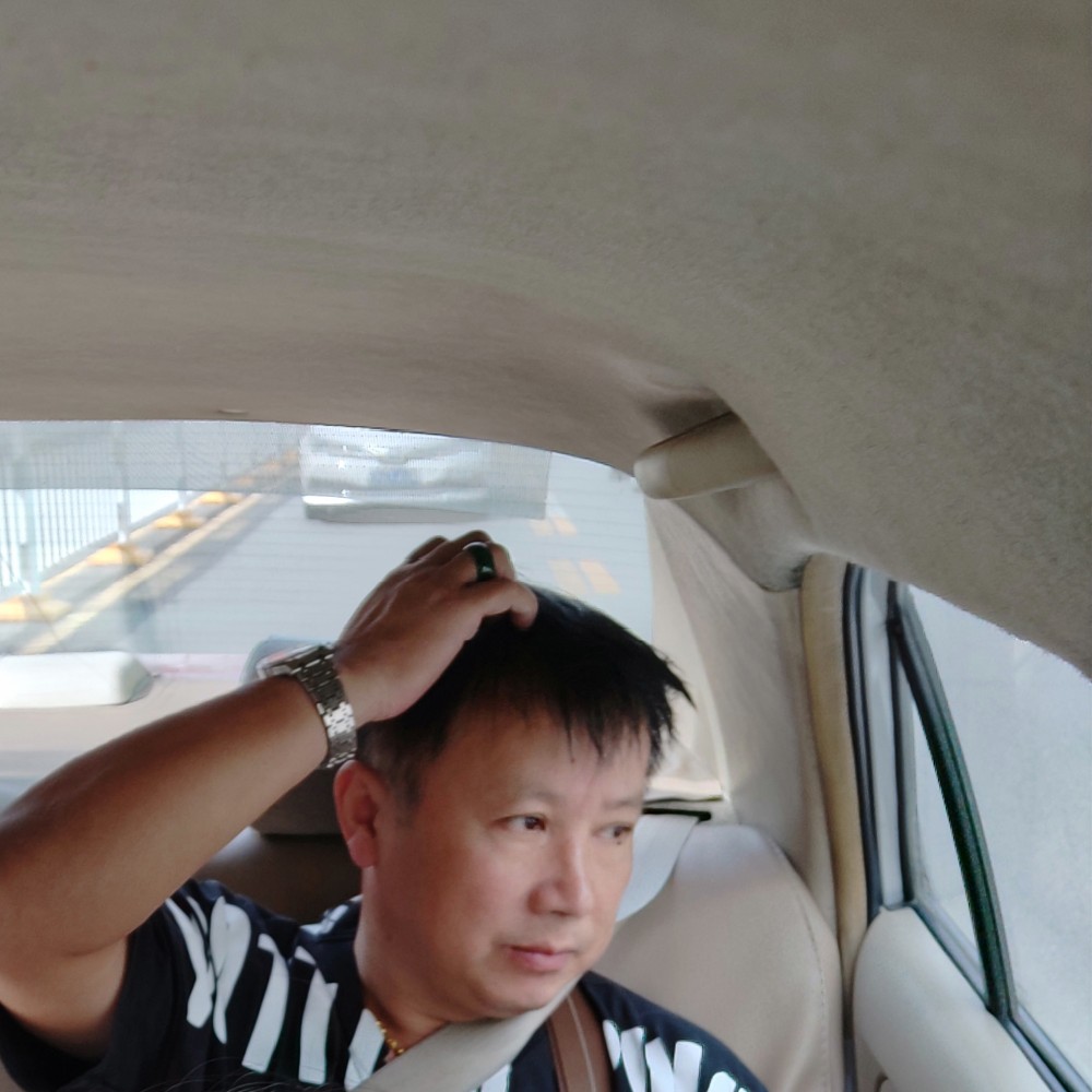 黄豆内向的照片