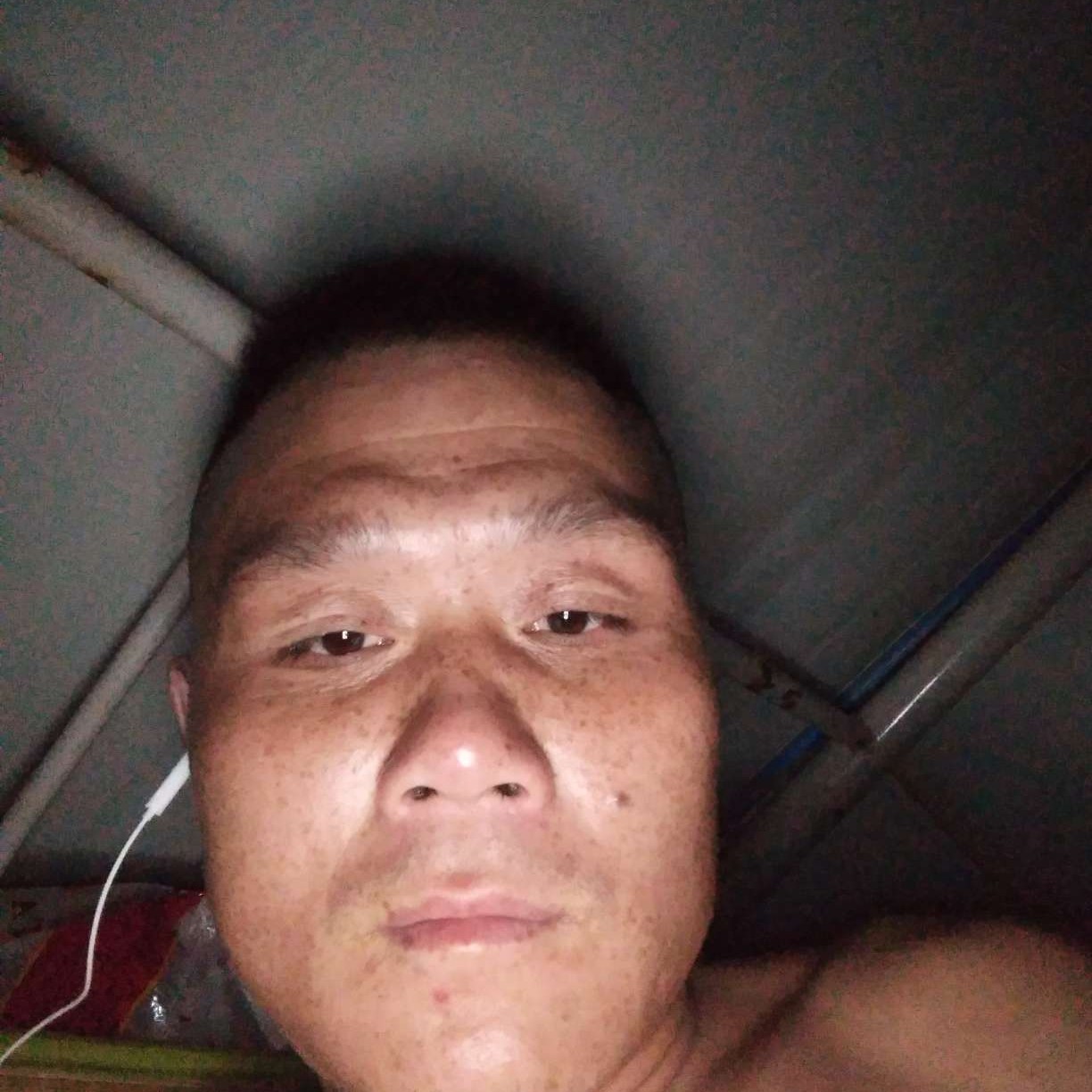 鸡翅孝顺的照片