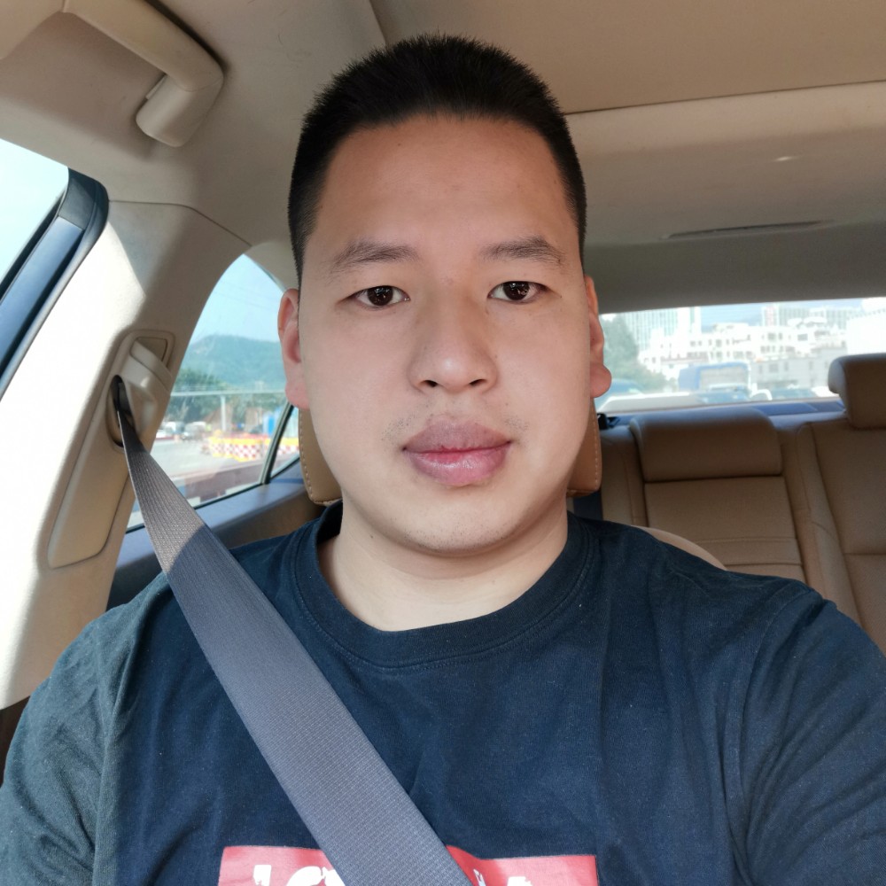 蚂蚁的照片