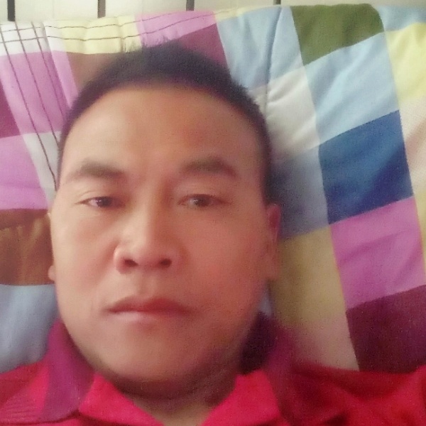 霁月轻风的照片