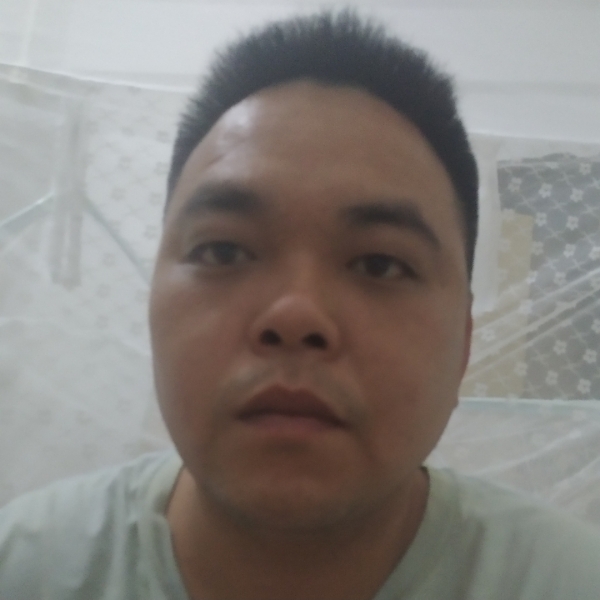 康乃馨落拓的照片