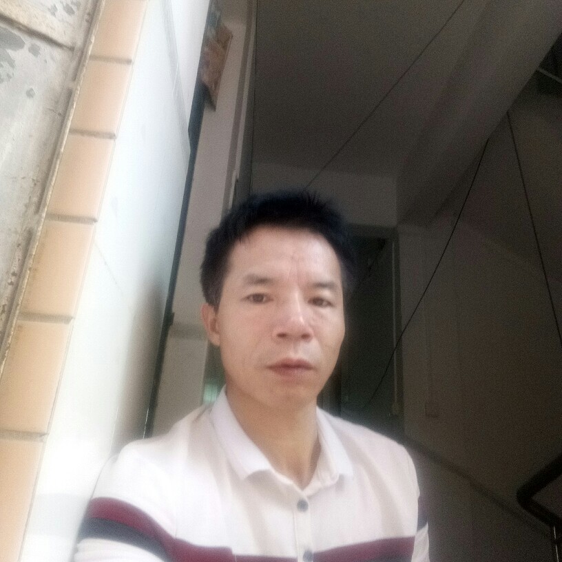 重新组合家园的照片