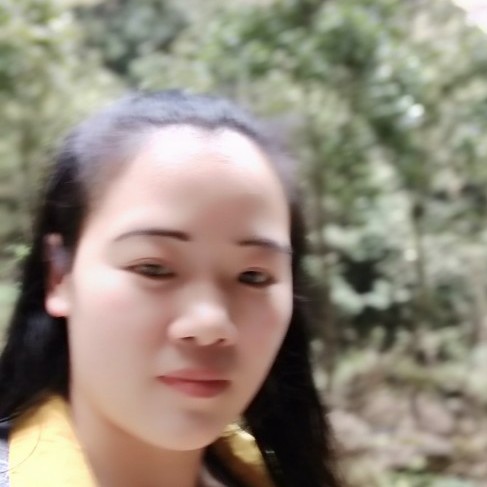 百合彩色的照片