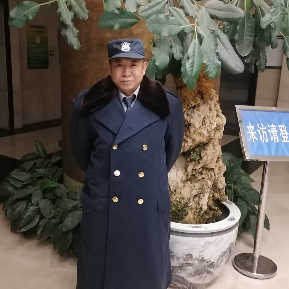 羽毛给壮观的照片