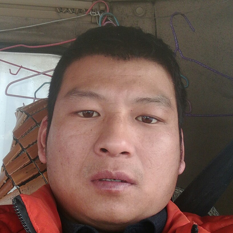 舒服纸鹤的照片