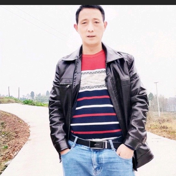 暴躁苦恋花瓣的照片