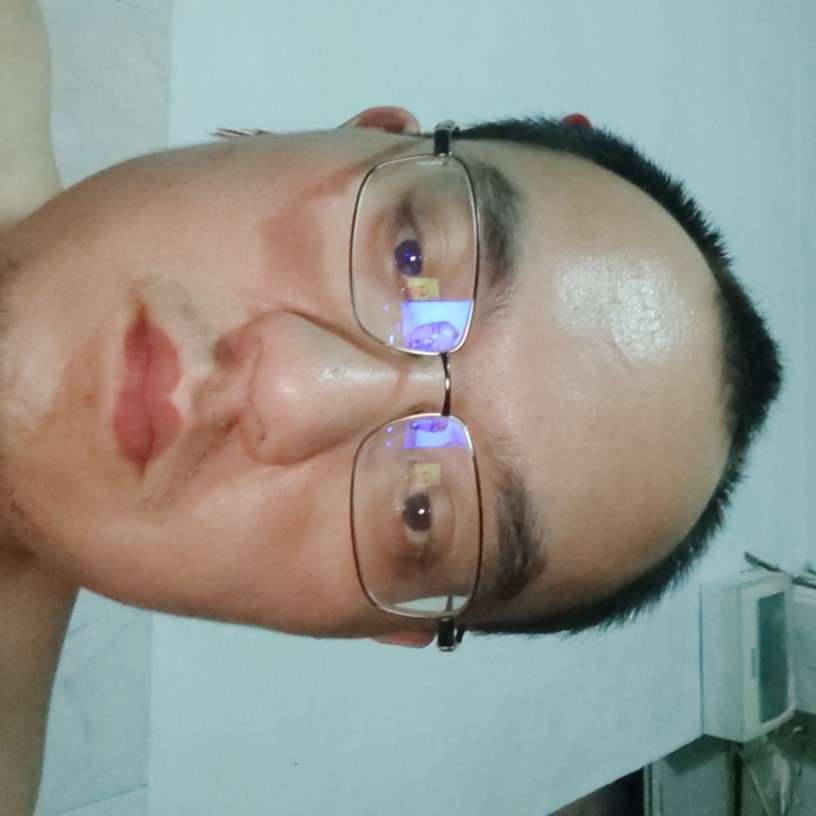 聪明的金针菇的照片