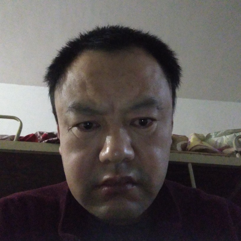 斑马相许苹果的照片