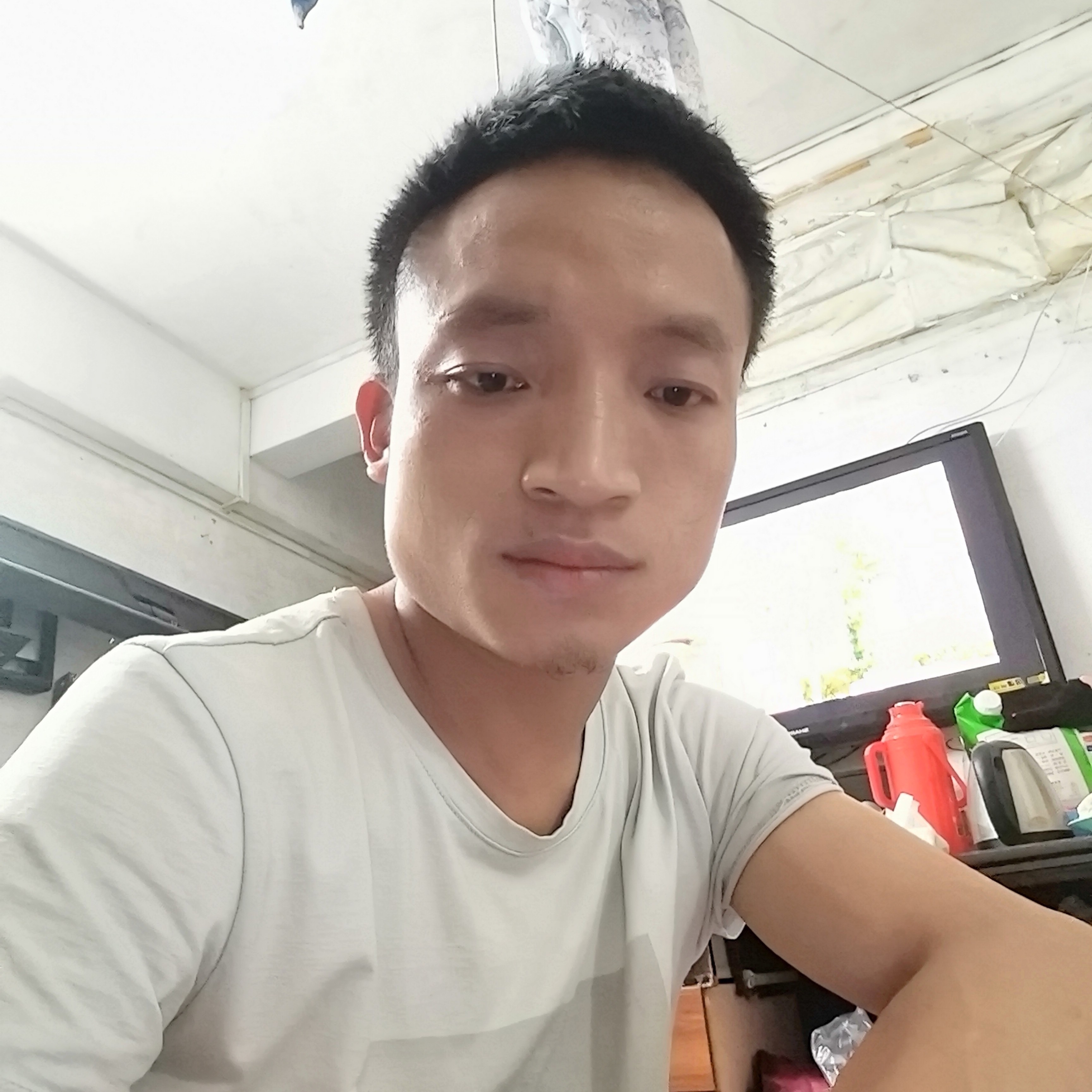 飘逸迎过客的照片