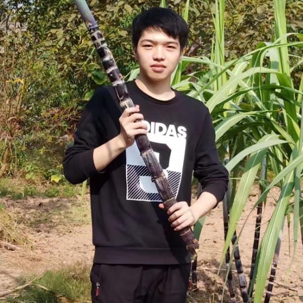 小松鼠請淡淡的照片