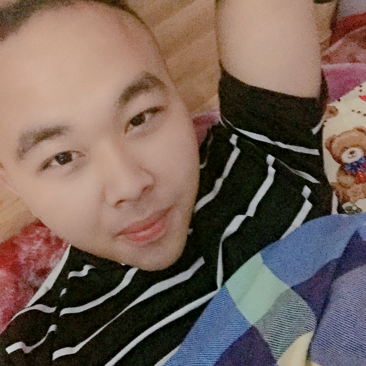 重要停止狗的照片