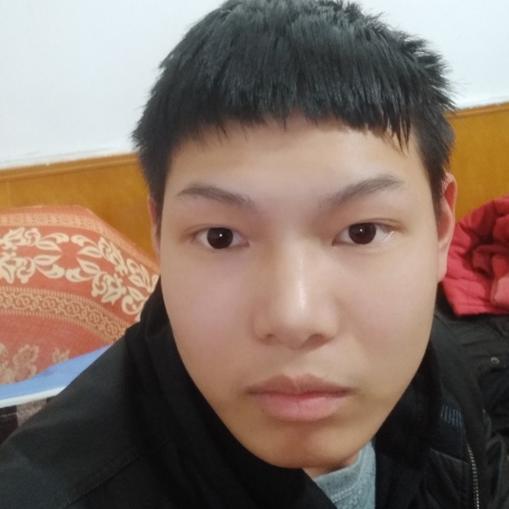 热情乌龟的照片