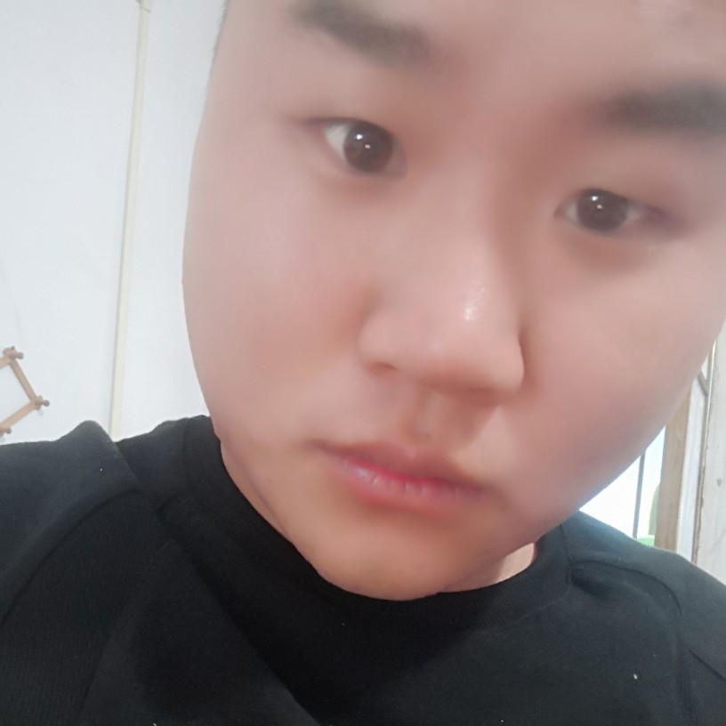 蚂蚁扯阳光的照片