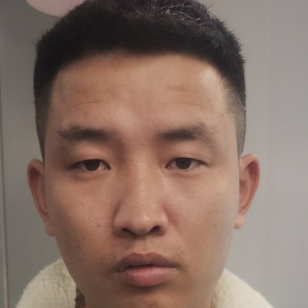 斑马也吃荤的照片