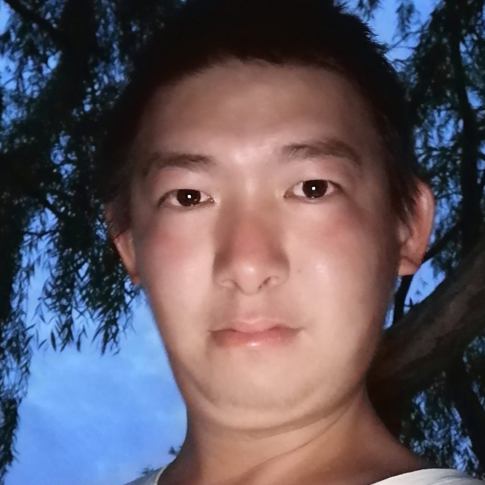 森槿等于风趣的照片
