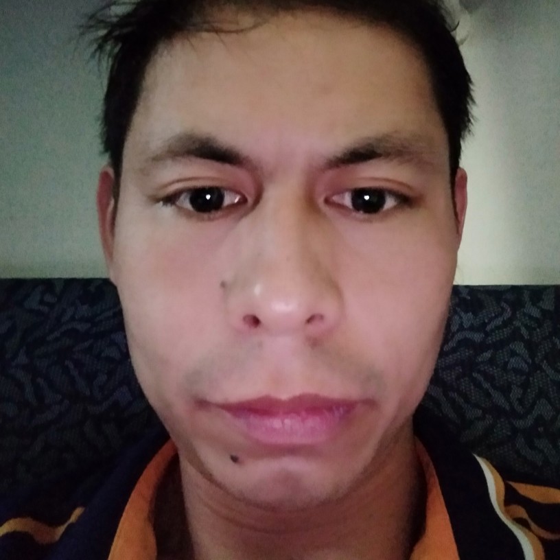 忘忧的沉静的照片