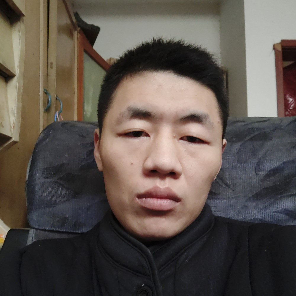 鸡有笨笨的照片
