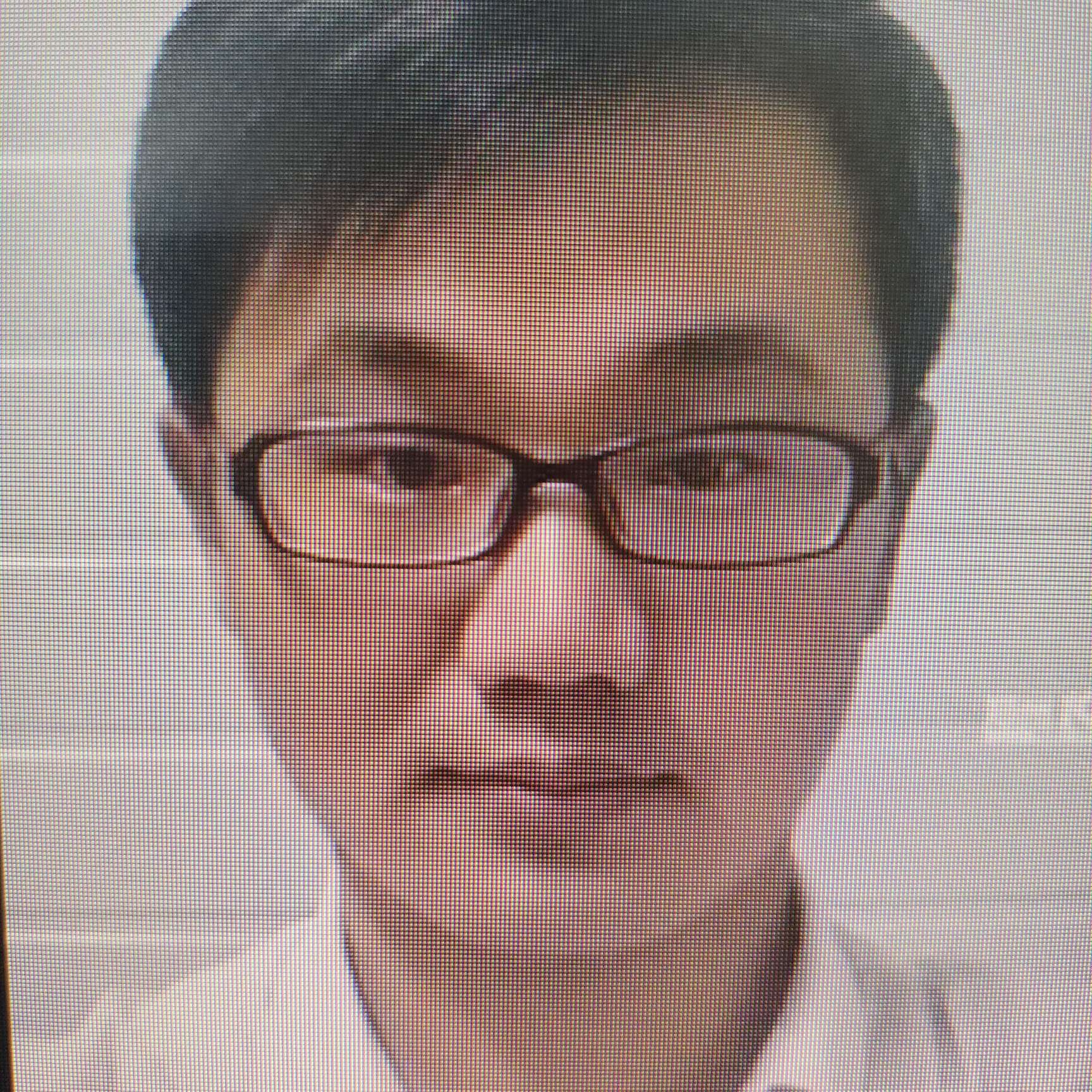 安静de达尔文的照片