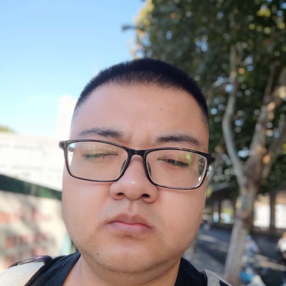茫然的熊的照片